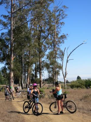 Participants in Sunday's Girls Gone Wilder guided mountain biking ride take a break at the eucalyptus grove in Wilder Ranch State Park. ( Karen Kefauver/Contributed)