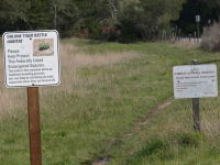 Signs posted near UC Santa Cruz and Wilder Ranch State Park warn hikers and mountain bikers that they are entering the habitat of the endangered Ohlone Tiger Beetle. (Tara Cornelisse/Contributed)